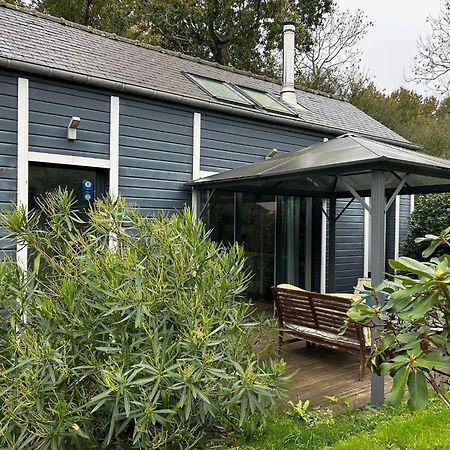Gite Bambou Saint-Lunaire Eksteriør bilde